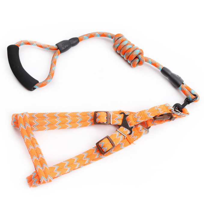 puppy harness and lead set