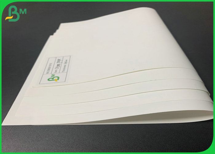 Washable 144g 168g Stone Paper 700mm x 1000mm Waterproof