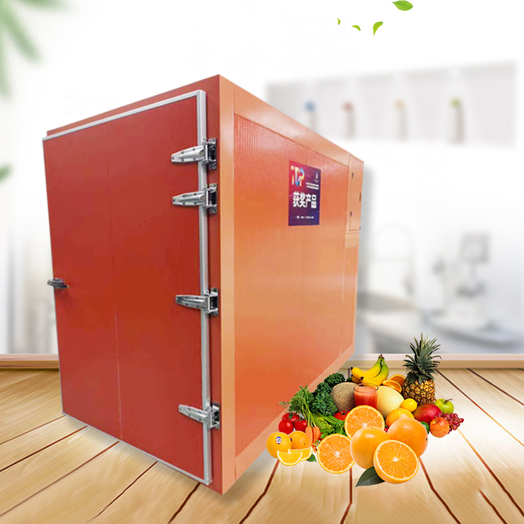 Original food vegetable dehydrator tamarind drying machine to dehydrate fruit food air dryer