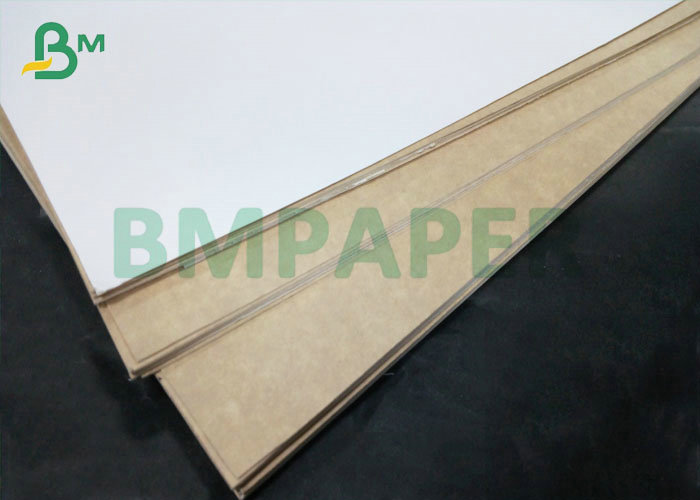 350gsm Printable White Coated Kraft Back Paper For High End Food Packing Box 