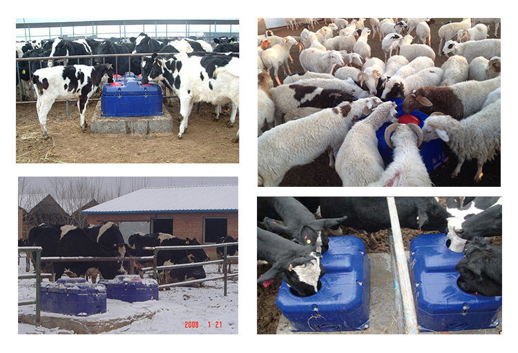Frost free / heat Auto Drinking Water Bowl / cow cattle sheep goat antifrost drinker trough Livestock farm equipment
