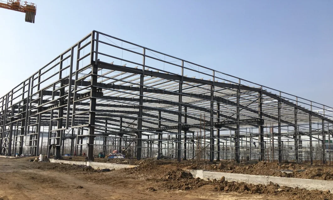 Factory Prefabricated Steel Structure Organic Fertilizer Production Workshop Warehouse