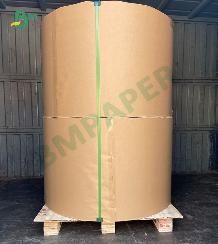 Jumbo rolls CCNB Claycoat 300gsm 450gsm Duplex Paper Board for packing