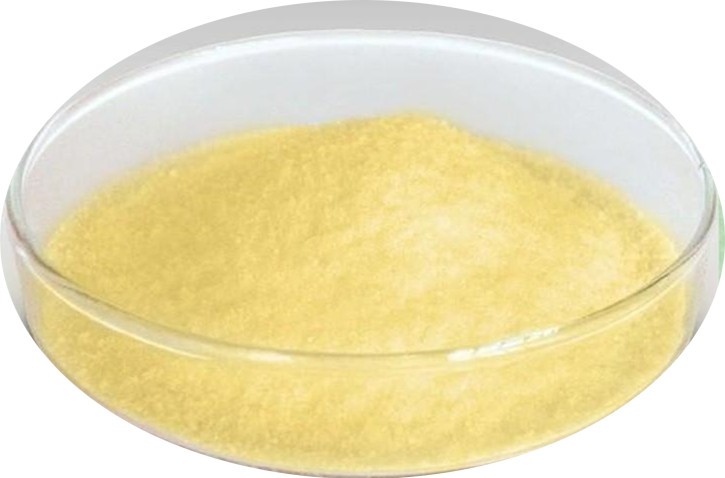 Hot Selling 98% Natural Kaempferol Powder