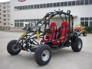 2 person dune buggy