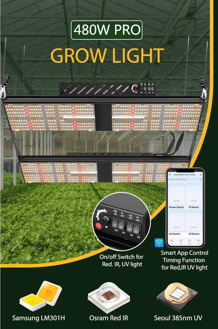 BAVA 480W LM301H quantum board red ir uv vertical farming indoor plant grow light 0