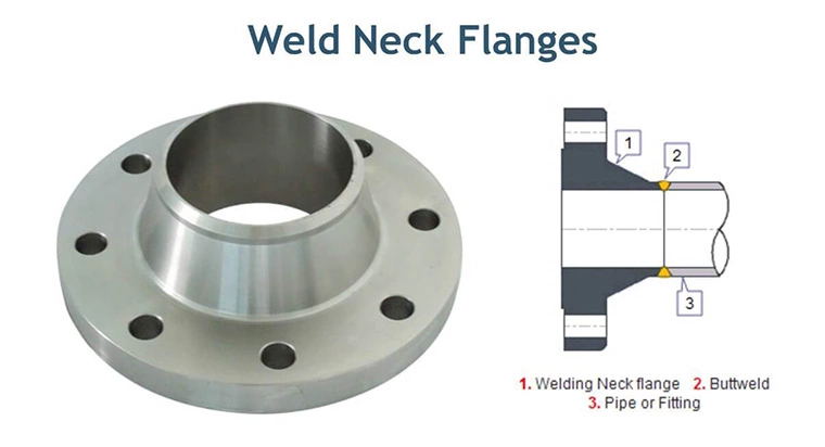 weld neck titanium flange