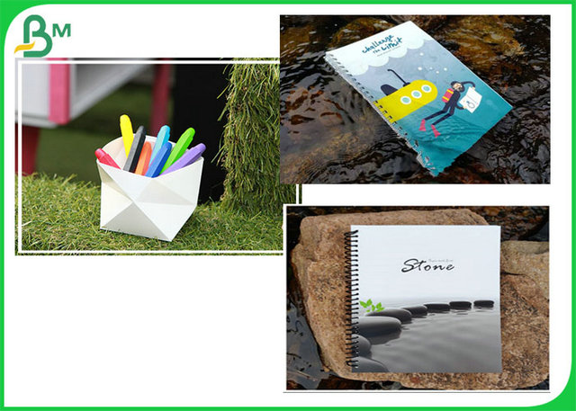Waterproof And Durable 100UM 120UM 140UM Stone Paper Roll For Notebook