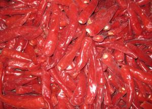 China Frozen Red Chilli on sale 
