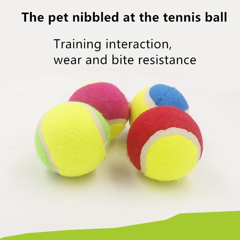 dog safe tennis balls