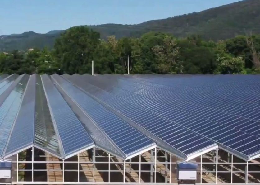 PE/Po Plastic Film Photovoltaic Greenhouse Innovation