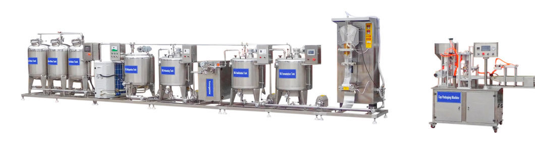 Yogurt Production Line/Milk Processing Unit/Yogurt Processing Machine
