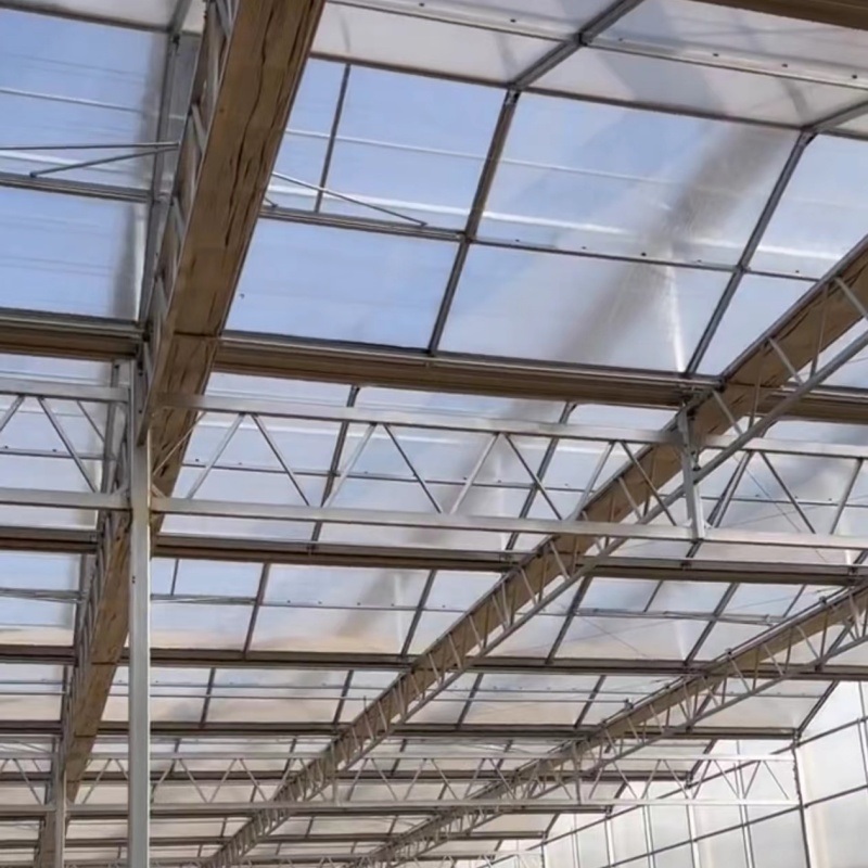 Large Size Commercial and Agricultural Venlo PC Polycarbonate Greenhouse
