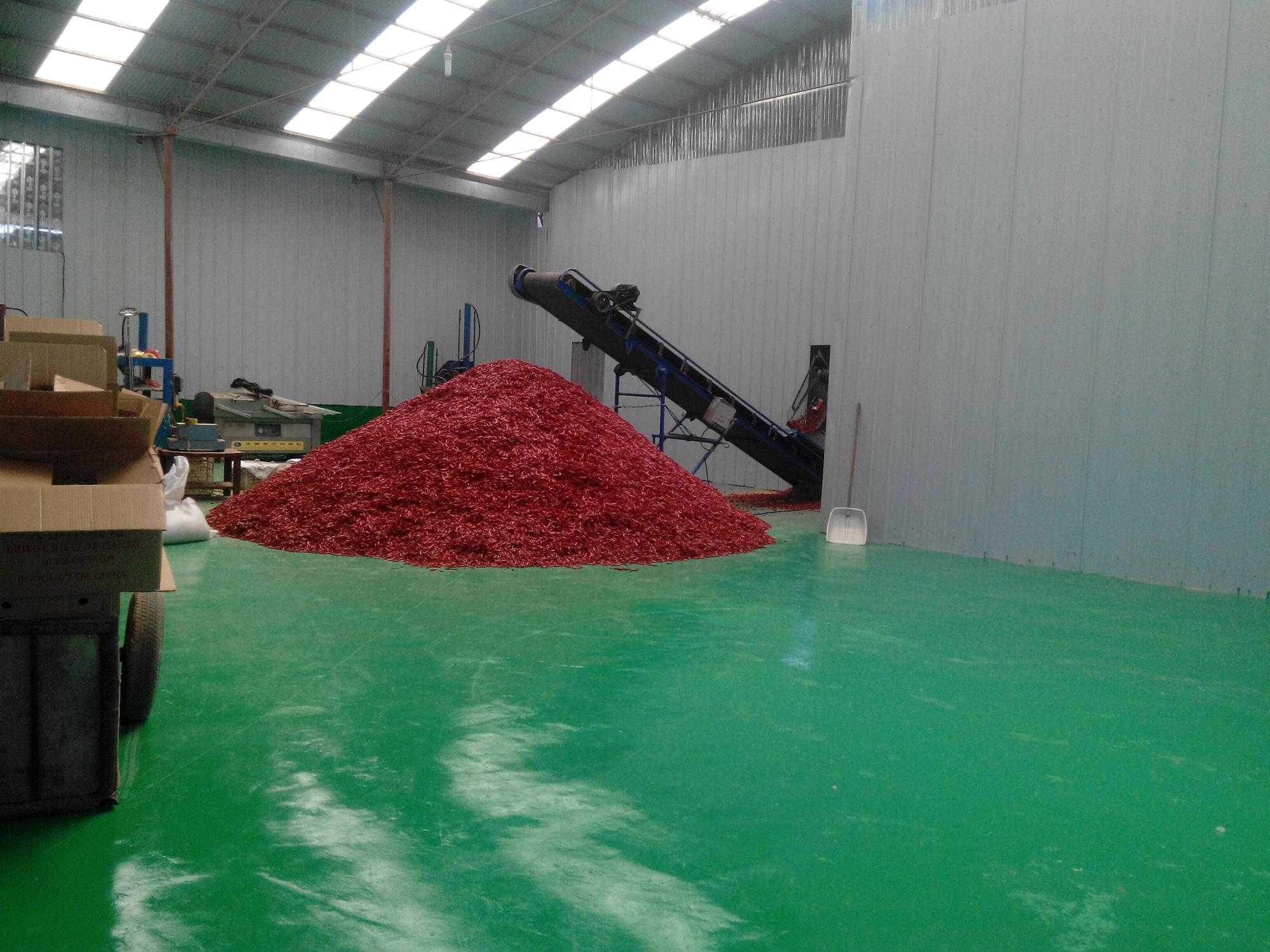 Affordable Price Chinese Chili red pepper powder