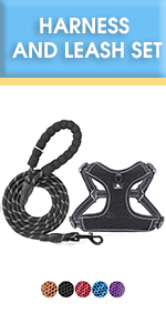 baapet dog harness and leash set