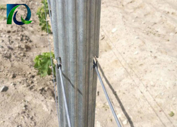 2.0MM Thick Metal Trellis Posts Heavy Duty With W Shaped Section Recyclable