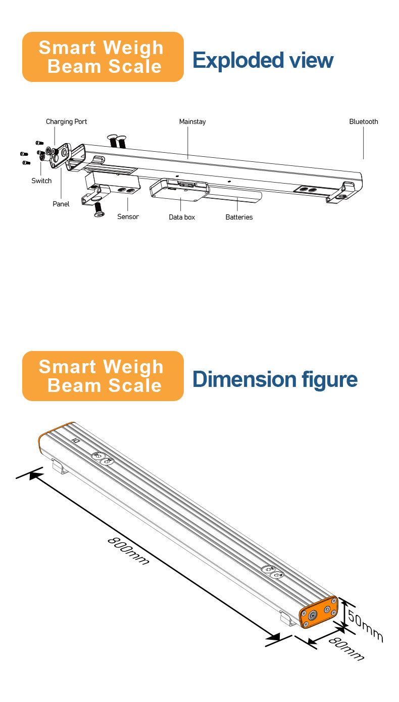Smart Industrial Strip Scale Weigh Range 1-4500kg bluetooth APP Printing Onsite