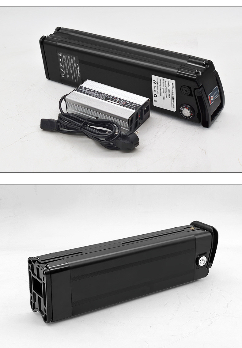 High Quality Silver Fish Battery 48V 20ah Lithium Ion E-Bike Battery for 1000W Electric Bike