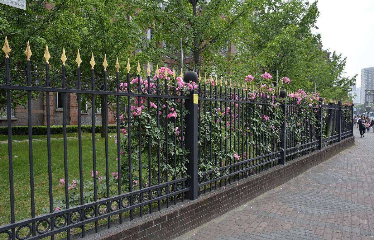 Steel Fence Various Useful Aluminum Fence Excellent And Standard Garden Fence