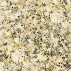 China stone granite Gold Ma on sale 