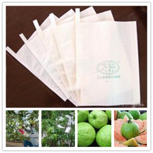 China GUAVA BAG,pomegranate bag/Fruit growing packing bags,protective bag skype yu.zhang 951 on sale 