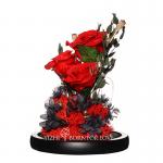 Long Lasting red Preserved Rose Glass Dome in Valentine's Day