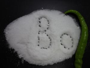 China Corrosion Inhibition Industry Borax Decahydrate Powder 381.37 Molecular Weight on sale 
