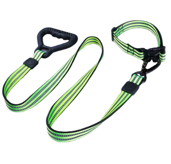green dog collar and leash