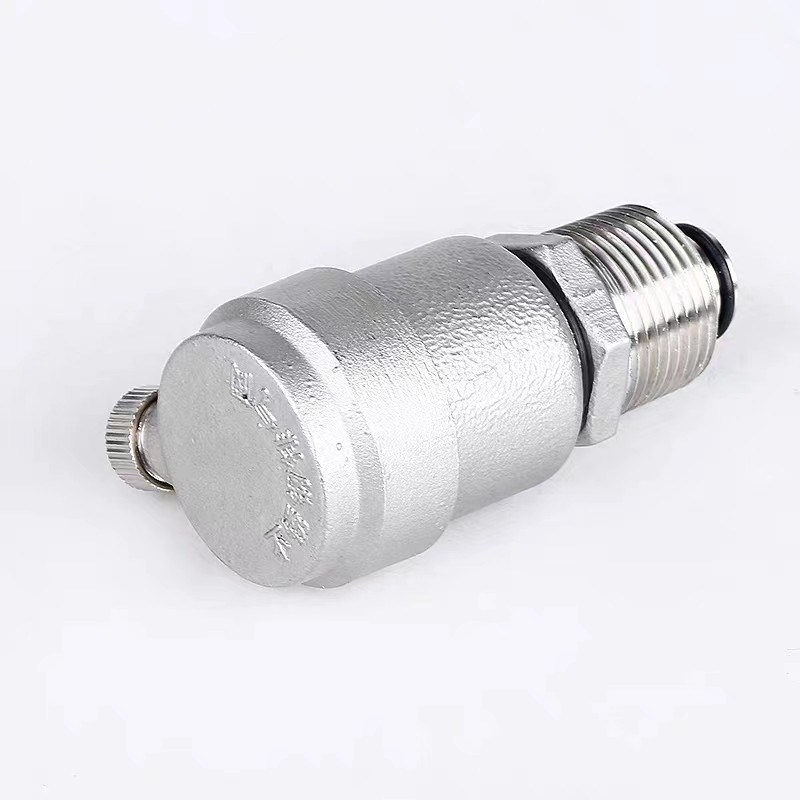 Stainless Steel 304 NPT Bsp Thread Automatic Release Exhaust Air Vent Valve