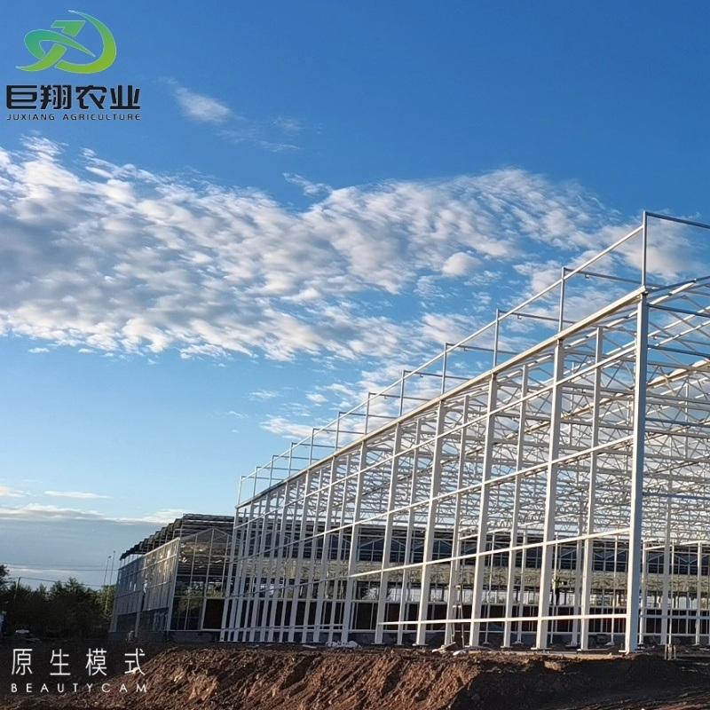 Low Cost Venlo Type Glass Greenhouse