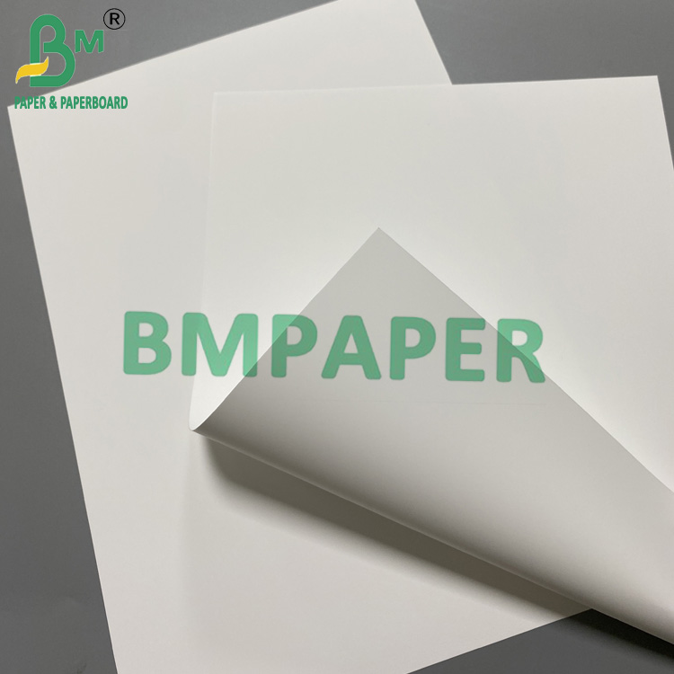 300um Matte Pp Synthetic Paper For Inkjet Printers Waterproof Tear Resistant White Paper