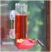 window mount hummingbird feeder, window mount hummingbird feeder