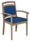 Healthcare and education Akina low armchair