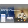 China wifi smart plug with dual US sockets wholesale