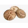 China Shiitake Mushroom Extract, Lentinan, Lentinan Extract, Lentinus edodes Extract, Shiitake polysaccharides, wholesale