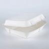 China Biodegradable Disposable Clamshell Take Out Containers Bagasse And Bamboo Pulp Material Rectangle Shape wholesale