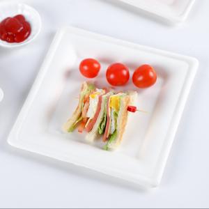 Eco Friendly Sugarcane Bagasse Biodegradable Disposable Tray Compostable Tableware Rectangle 9 Inch