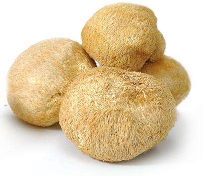 Lions mane mushroom extract polysaccharides 20%,  extract Chinese manufacturer, Hericium Erinaceus Extract powder
