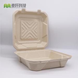 8x8 inches bagasse heavy duty take out lunch box hinged clamshell container