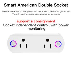 China wifi smart plug with dual US sockets wholesale