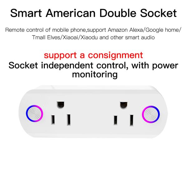 wifi smart plug with dual US sockets