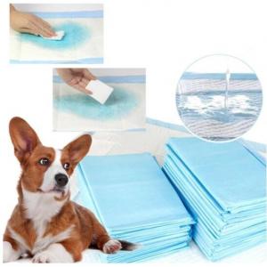 Leakage Proof Super Absorbent Dog Diapers OEM Disposable Nappies For Cats