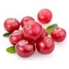 China Cranberry Extract, Cranberry Proanthocyanidins, Cranberry Anthocyandins, Cranberry PAC BL-DMAC, Vaccinium Macrocarpon wholesale