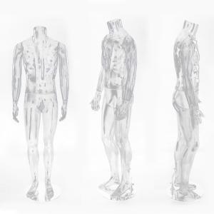 Hot sale plastic full body male Transparent headless mannequin for clothes display