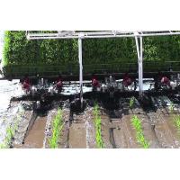 China Single Arm 3.68kw 4mu/H Paddy Rice Transplanter Machine on sale