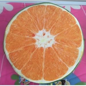Hot selling high quality customized fruit printed round cushion