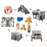 China 3tons/Day PLC Control Peach Apricot Fruit Processing Line on sale