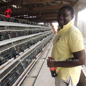A Type 160 Capacity Layer Battery Cage System , Egg Laying Chicken Cage Sandy