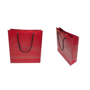 China ISO Large Custom Paper Shopping Bag With Company Logo Private Label supplier
