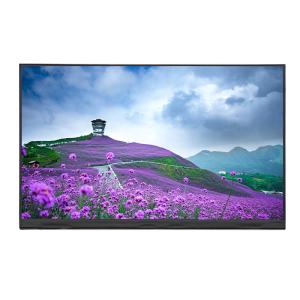 China 2K Resolution 11.6 Inch IPS HD TFT LCD Display 1920x1080 With EDP Interface wholesale